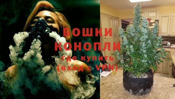 мяу мяу мука Белокуриха