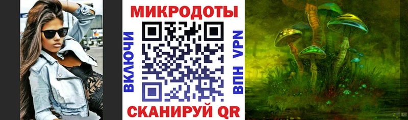 закладка  Кораблино  Псилоцибиновые грибы Magic Shrooms 