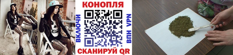 Конопля OG Kush  где найти   Кораблино 